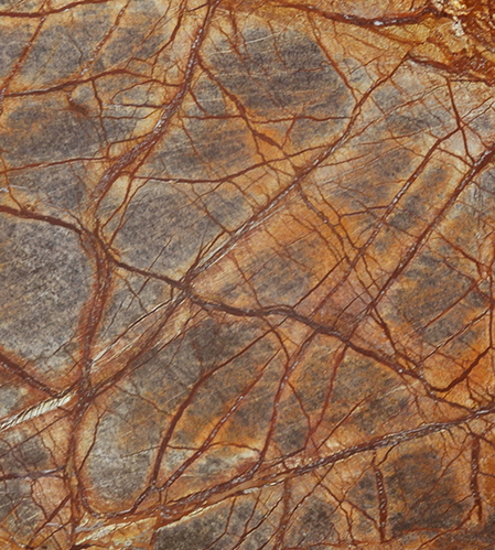 Rain Forest Brown