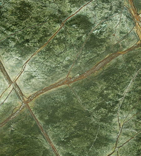 Rain Forest Green