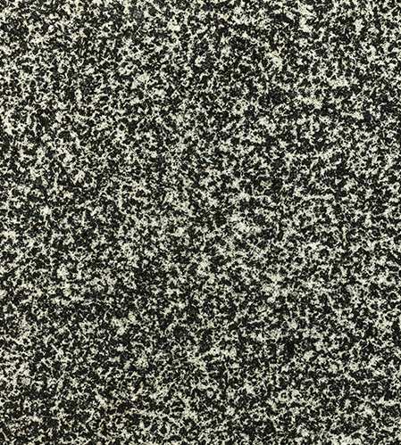 Bengal Black