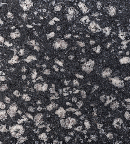 Coral Black